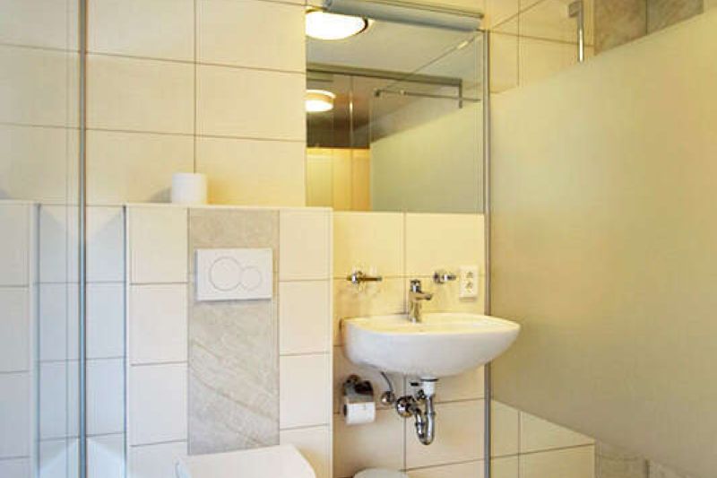 Toilet and shower in the bathroom in the Nogglerhof